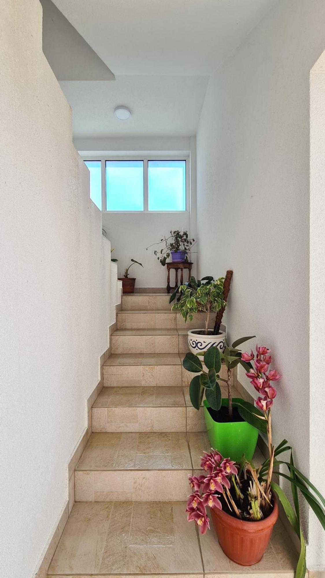 Apartments Mare Ulcinj Extérieur photo